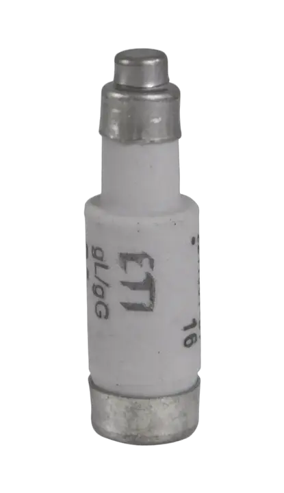 Bild von D01 gG 13A/400V