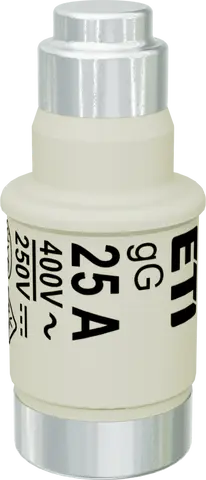 D02 gG 25A/400V