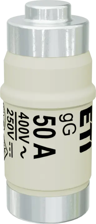Bild von D02 gG 50A/400V