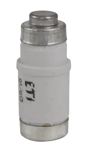 Bild von D02 gG 63A/400V