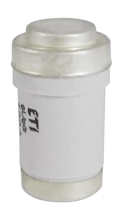 Bild von D03 gG 80A/400V