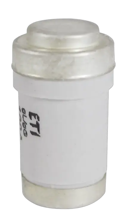 Bild von D03 gG 100A/400V