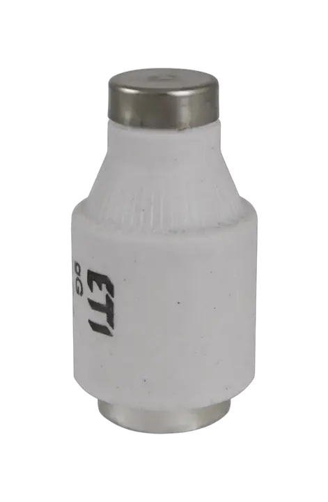 Bild von DIII gG 40A/500V