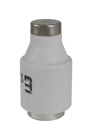 DIII gG 40A/500V