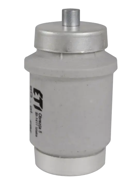 Bild von DIV gG 80A/500V