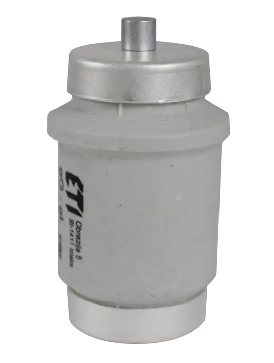 Bild von DIV gG 100A/500V