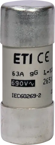 CH22x58 gG 63A/690V