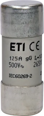 CH22x58 gG 125A/500V
