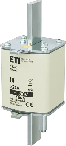 NH2/K gG 224A/690V