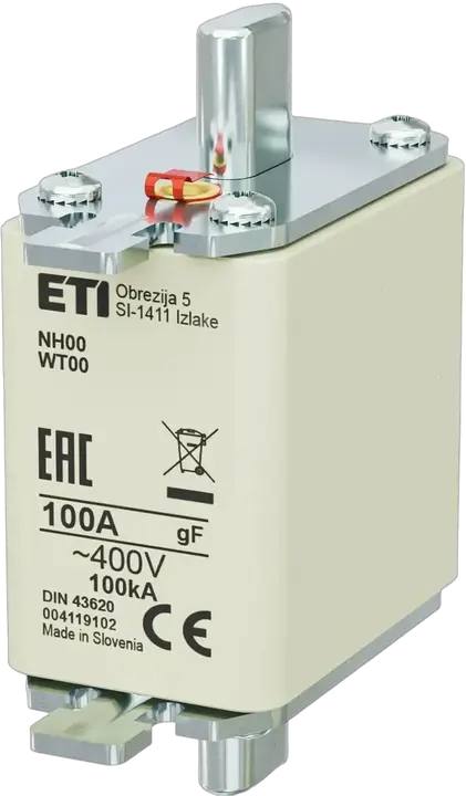 Bild von NH00 gF 100A/400V