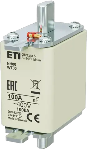 Bild von NH00 gF 100A/400V