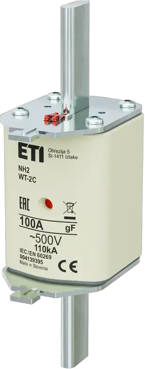 Bild von NH2C gF 100A/500V
