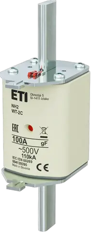 NH2C gF 100A/500V