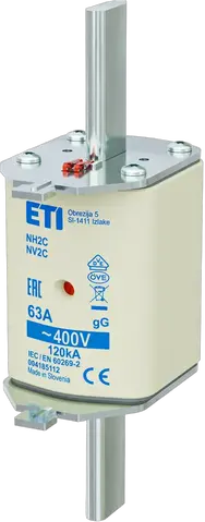 NH2C gG 63A/400V