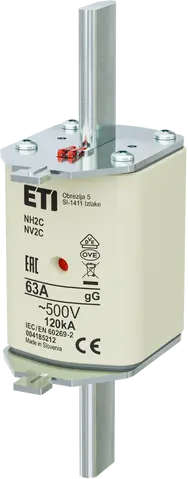 NH2C gG 63A/500V