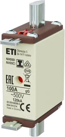 NH000/I gG 100A/500V