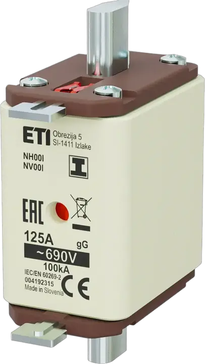 Bild von NH00/I gG 125A/690V