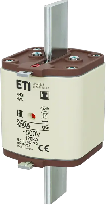 Bild von NH3/I gG 250A/500V