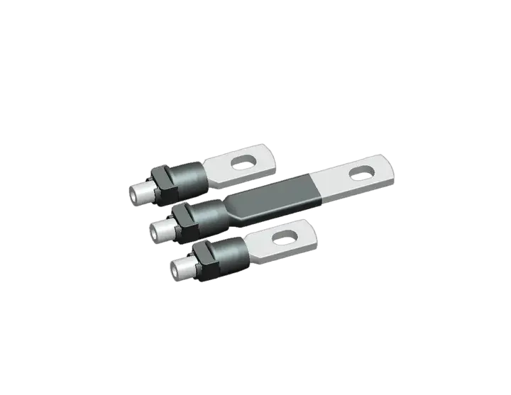 Bild von RC2 250/4E