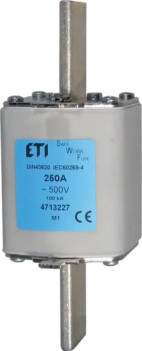 Bild von NH1 SWF 160A/500V