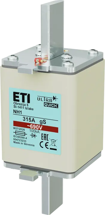 Bild von *NH1 gS 250A/690V