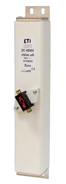 Bild von NHS2/394/M aR 100A/4000V DC