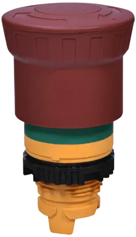 NSE-PBM-T-RGM