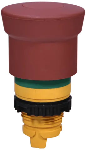 NSE-PBM-P-RGM