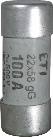 CH22x58/P aM 100A/500V